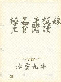 极品老板娘全文免费阅读