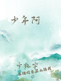少年阿