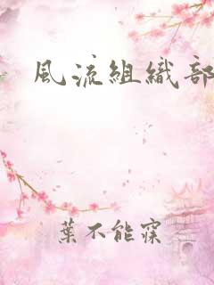 风流组织部长