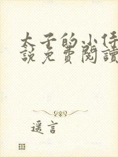 太子的小侍妾小说免费阅读全文