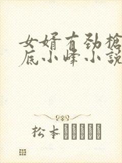 女婿有劲枪枪到底小峰小说