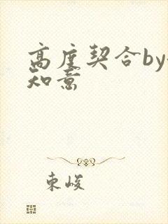 高度契合by洛知意