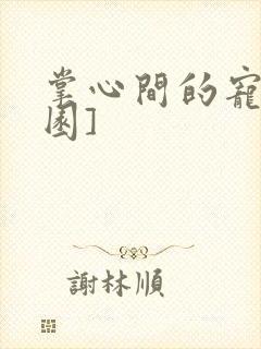 掌心间的宠[校园]