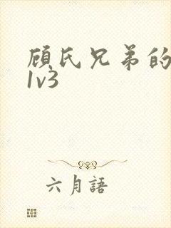 顾氏兄弟的南宁1v3