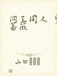 网王同人  紫蔷薇