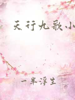 天行九歌小说