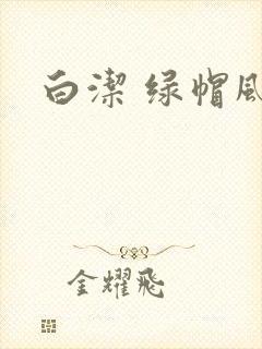 白洁 绿帽风云