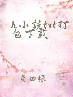 h小说txt打包下载