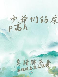 少爷们的床奴np高h