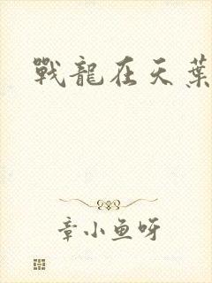 战龙在天叶凡
