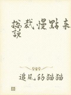 总裁慢点来 小说