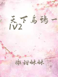 天下乌鸦一般黑1V2