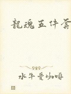 龙魂五件套