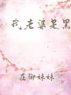 我老婆是黑社会