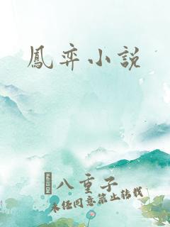 凤弈小说