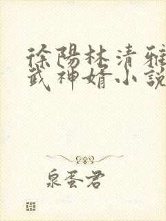 徐阳林清雅绝世武神婿小说
