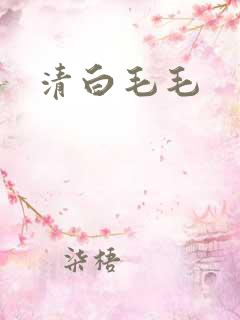 清白毛毛