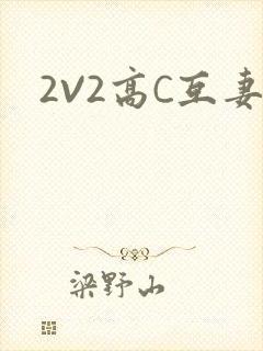 2V2高C互妻