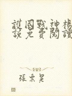 护国战神杨风小说免费阅读