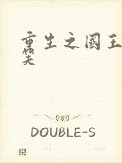 重生之国王的微笑