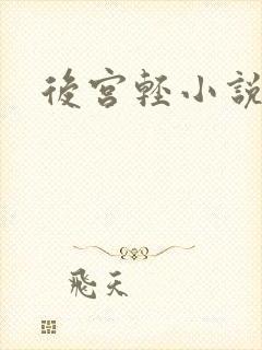 后宫轻小说