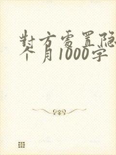 对方处置隐私一个月1000字