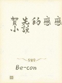 贺先的恋恋不忘小说