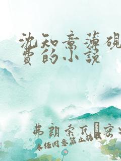 沈知意薄砚霆免费的小说