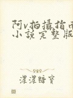 阿v拍摄指南说小说完整版