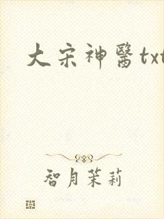 大宋神医txt
