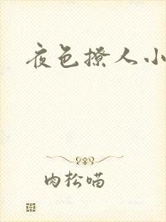 夜色撩人小说