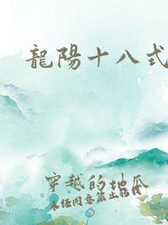 龙阳十八式