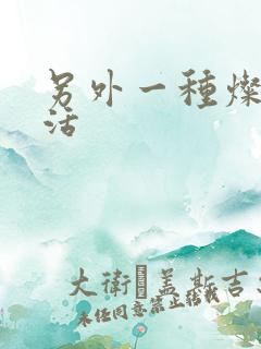 另外一种灿烂生活