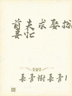 前夫求娶总裁追妻忙