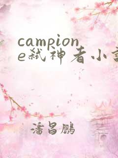 campione弑神者小说