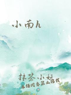 小南h