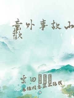 意外事故山月辞欢