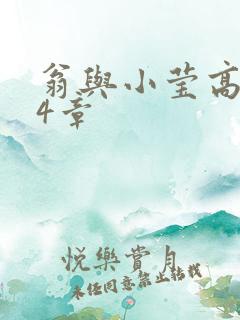 翁与小莹高潮24章