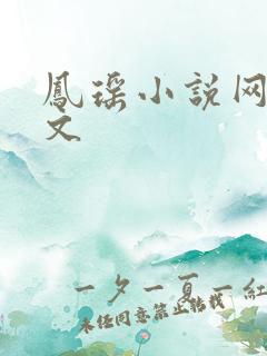 凤瑶小说网高辣文