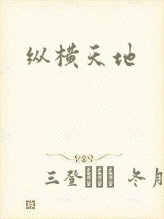 纵横天地