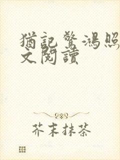 犹记惊鸿照影全文阅读