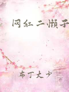 网红二懒子车祸