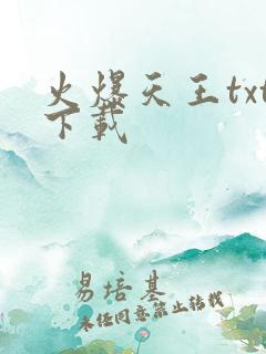 火爆天王txt下载
