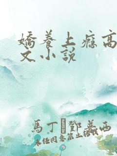 娇养上瘾高H爽文小说