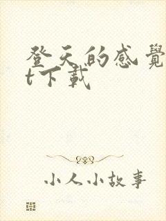 登天的感觉txt下载