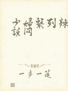 少妇系列辣文小说网