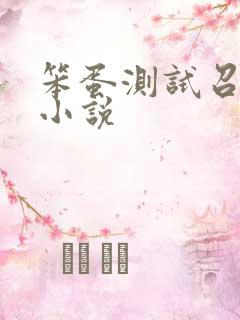笨蛋测试召唤兽小说