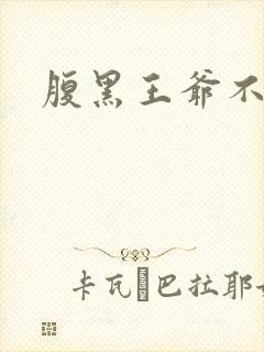 腹黑王爷不良妻