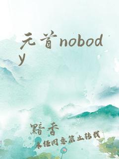 元首nobody