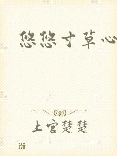 悠悠寸草心阅读